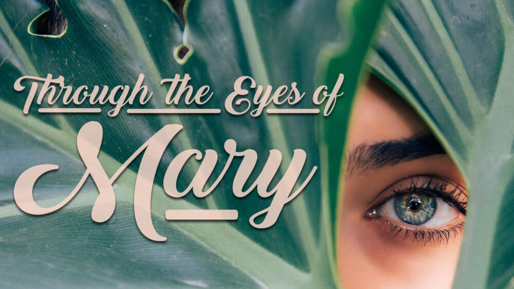 Through the Eyes of Mary